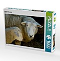 Schaf mit Lamm (Puzzle)