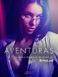 El apasionante mundo de Erika Lust: Aventuras