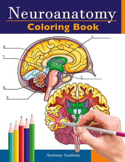 Neuroanatomy Coloring Book
