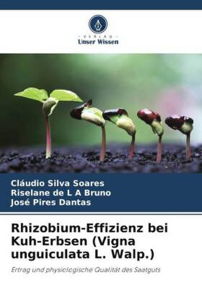 Rhizobium-Effizienz bei Kuh-Erbsen (Vigna unguiculata L. Walp.)