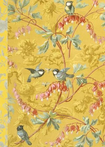 Gefährlich schön Notizbuch klein - Motiv Blaumeisen