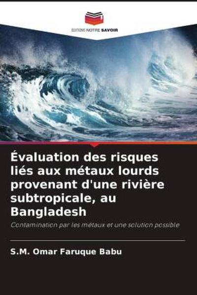 Évaluation des risques liés aux métaux lourds provenant d’une rivière subtropicale, au Bangladesh