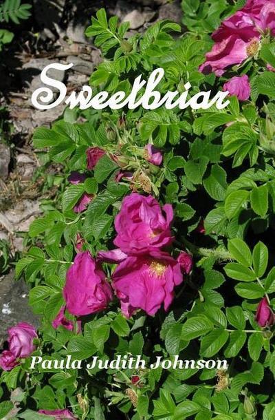 Sweetbriar (A Love Triangle Romance, #1)