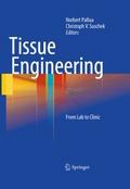 Tissue Engineering