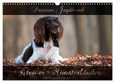 Passion Jagdhund - Kleiner Münsterländer (Wandkalender 2024 DIN A3 quer), CALVENDO Monatskalender