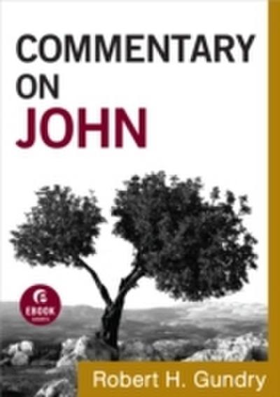 Commentary on John (Commentary on the New Testament Book 4)