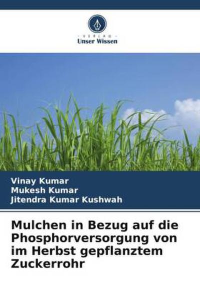 Mulchen in Bezug auf die Phosphorversorgung von im Herbst gepflanztem Zuckerrohr
