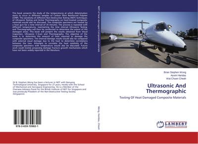 Ultrasonic And Thermographic