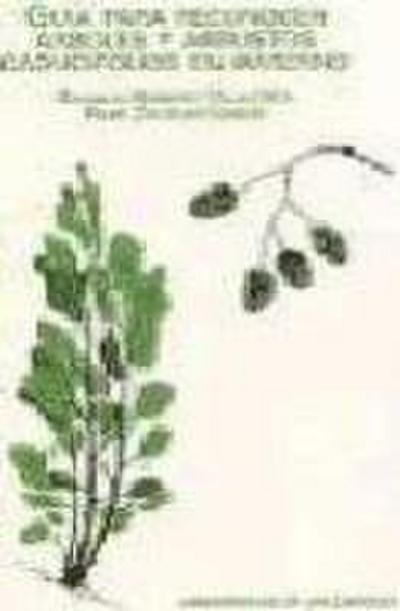 Guía para reconocer árboles y arbustos, caducifolios en invierno