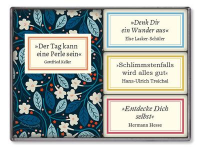 Insel-Bücherei Magnetset