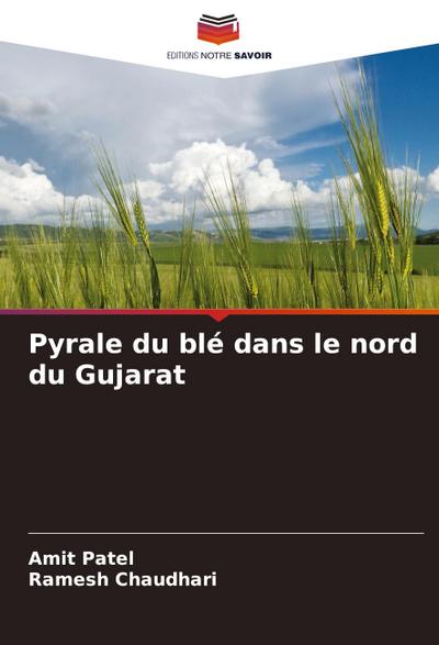 Pyrale du blé dans le nord du Gujarat