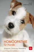 Homöopathie für Hunde: Symptome | Dosierung | Behandlung (BLV Hund)