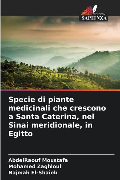 Specie di piante medicinali che crescono a Santa Caterina, nel Sinai meridionale, in Egitto