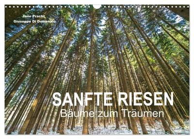 Sanfte Riesen - Bäume zum Träumen (Wandkalender 2024 DIN A3 quer), CALVENDO Monatskalender