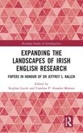 Expanding the Landscapes of Irish English Research