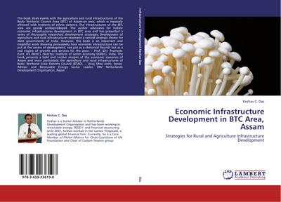 Economic Infrastructure Development in BTC Area, Assam