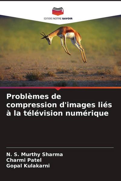 Problèmes de compression d’images liés à la télévision numérique