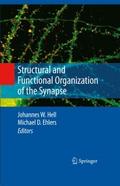 Structural and Functional Organization of the Syna