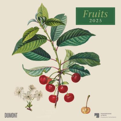 Fruits 2025 ¿ Broschürenkalender ¿ mit historischen Abbildungen alter Obstsorten von Pierre Antoine Poiteau ¿ Format 30 x 30 cm