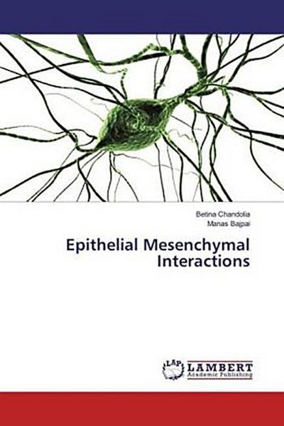 Epithelial Mesenchymal Interactions