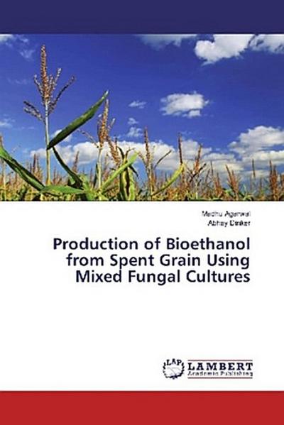 Production of Bioethanol from Spent Grain Using Mixed Fungal Cultures