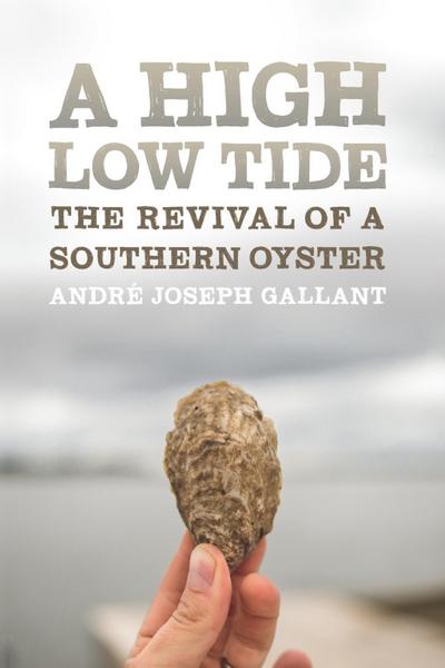 A High Low Tide