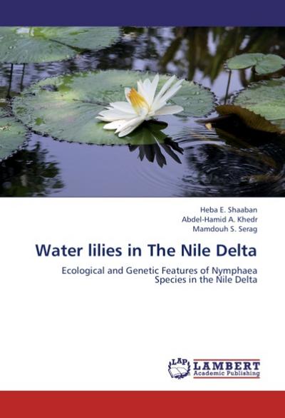 Water lilies in The Nile Delta