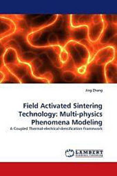 Field Activated Sintering Technology: Multi-physics Phenomena Modeling