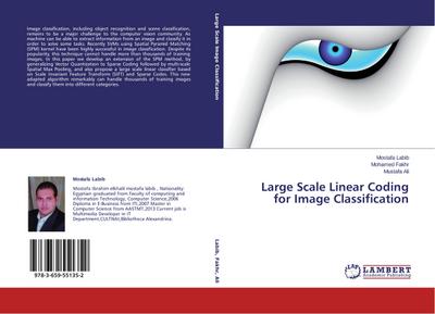 Large Scale Linear Coding for Image Classification