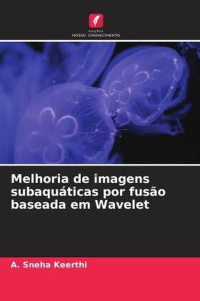 Melhoria de imagens subaquáticas por fusão baseada em Wavelet