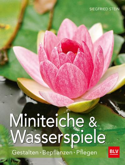 Miniteiche und Wasserspiele