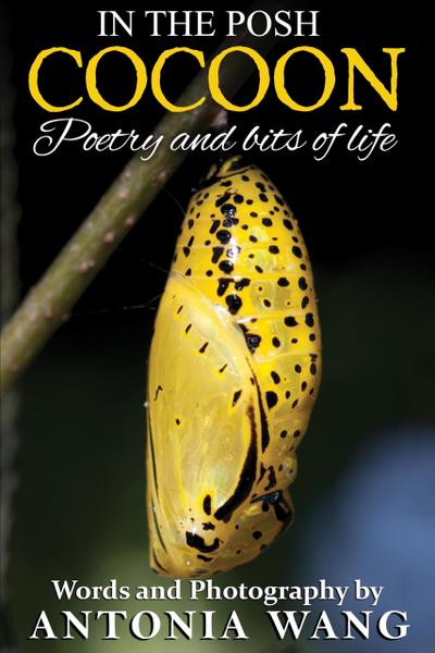 In the Posh Cocoon: Poetry and Bits of Life