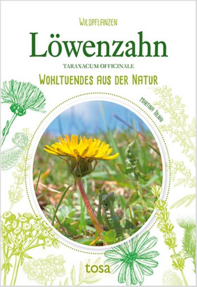 Löwenzahn - Taraxacum Officinale