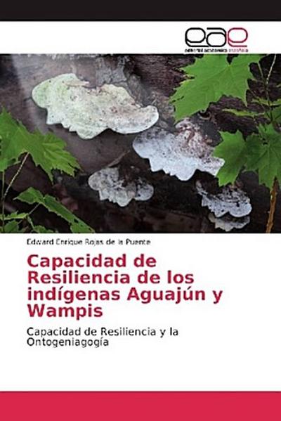 Capacidad de Resiliencia de los indígenas Aguajún y Wampis