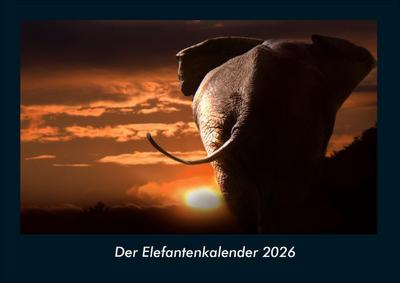 Der Elefantenkalender 2026 Fotokalender DIN A4