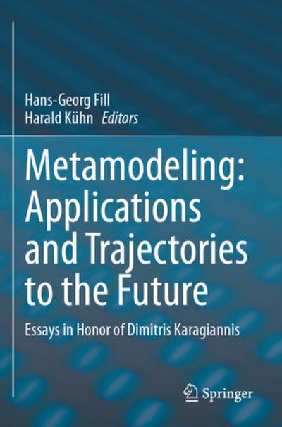Metamodeling: Applications and Trajectories to the Future