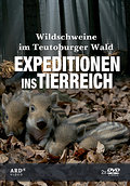 Expeditionen ins Tierreich. Wildschweine im Teutoburger Wald