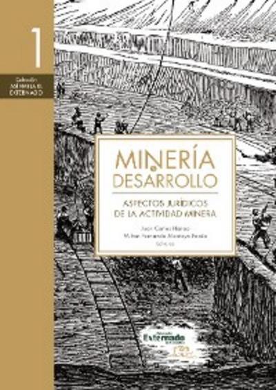 Minería y desarrollo. Tomo 1
