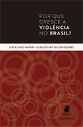 Por que cresce a violência no Brasil?