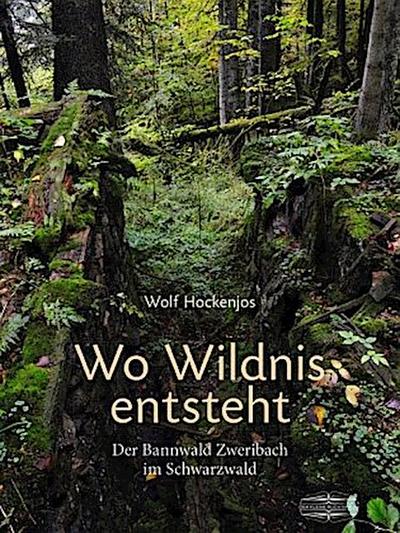 Wo Wildnis entsteht