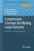 Compression Schemes for Mining Large Datasets