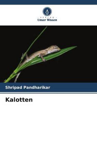 Kalotten