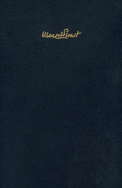 Bezüge und Strukturen. Studien zu "Les plaisirs et les jours"