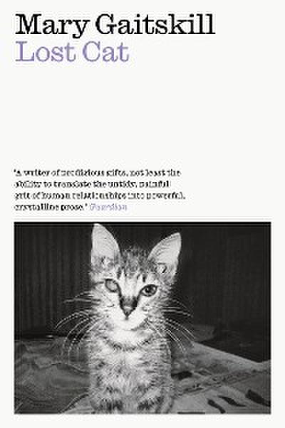 Lost Cat