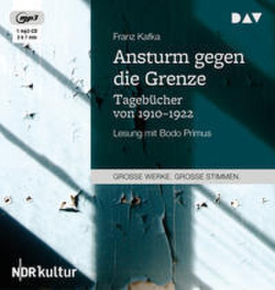 Ansturm gegen die Grenze - Tagebücher von 1910-1922