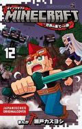 Minecraft 12
