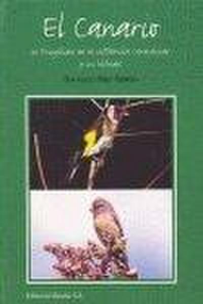 Pérez Padrón, F: Canario