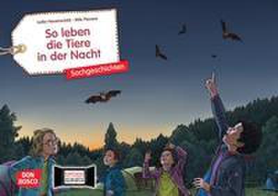 So leben die Tiere in der Nacht