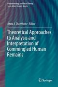Theoretical Approaches to Analysis and Interpretat