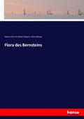 Flora des Bernsteins